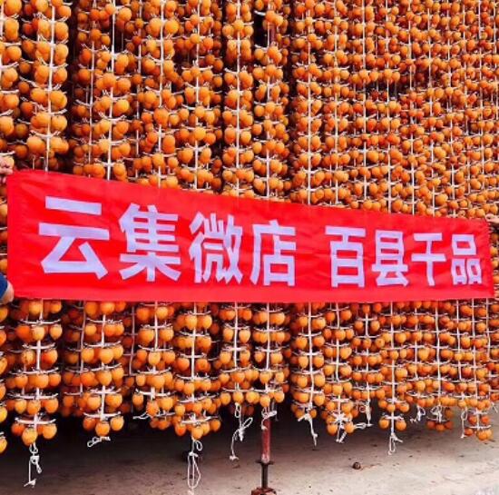云集百县千品富平柿饼